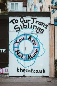 trans support mural