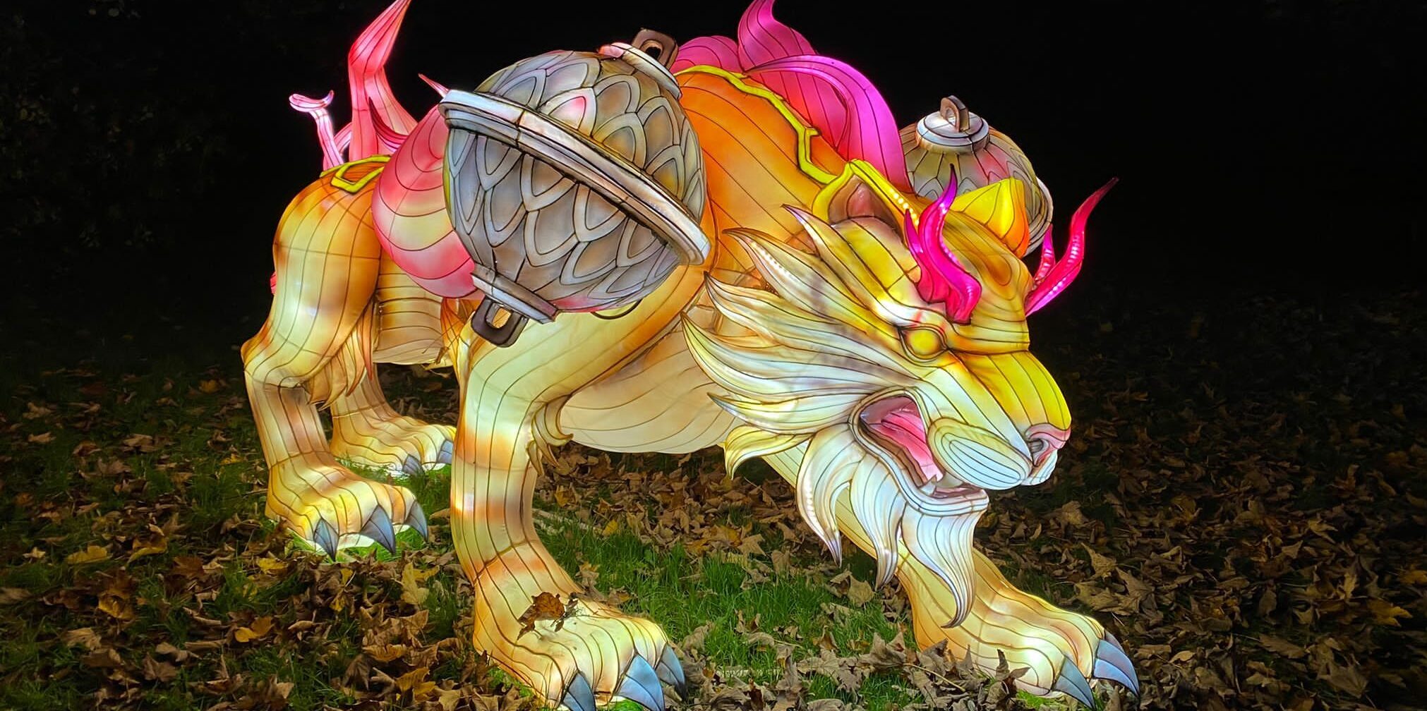 A colourful Lion ready to pounce was one of many displays at Lightopia